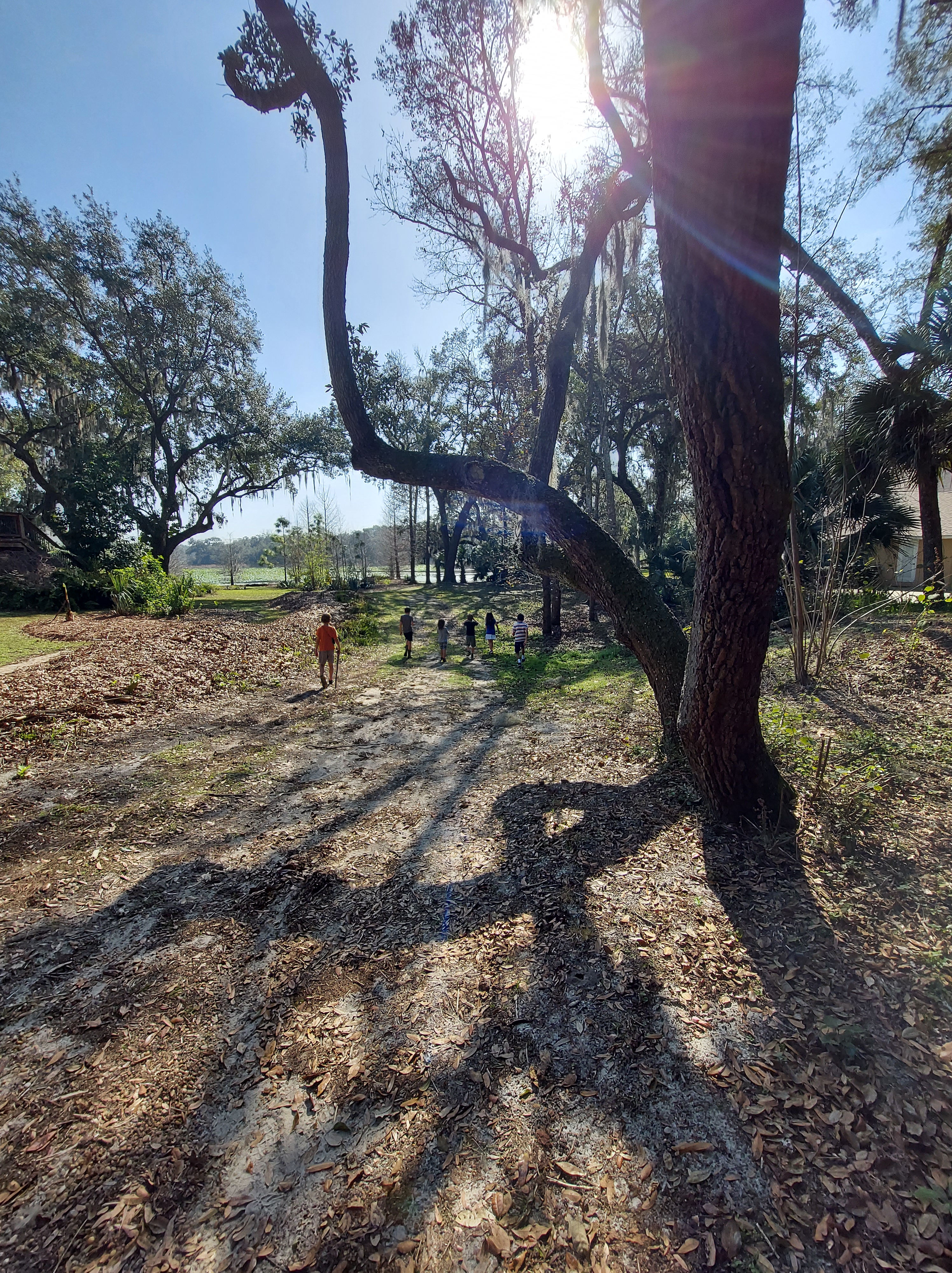 Join us for: The Great Backyard Bird Count