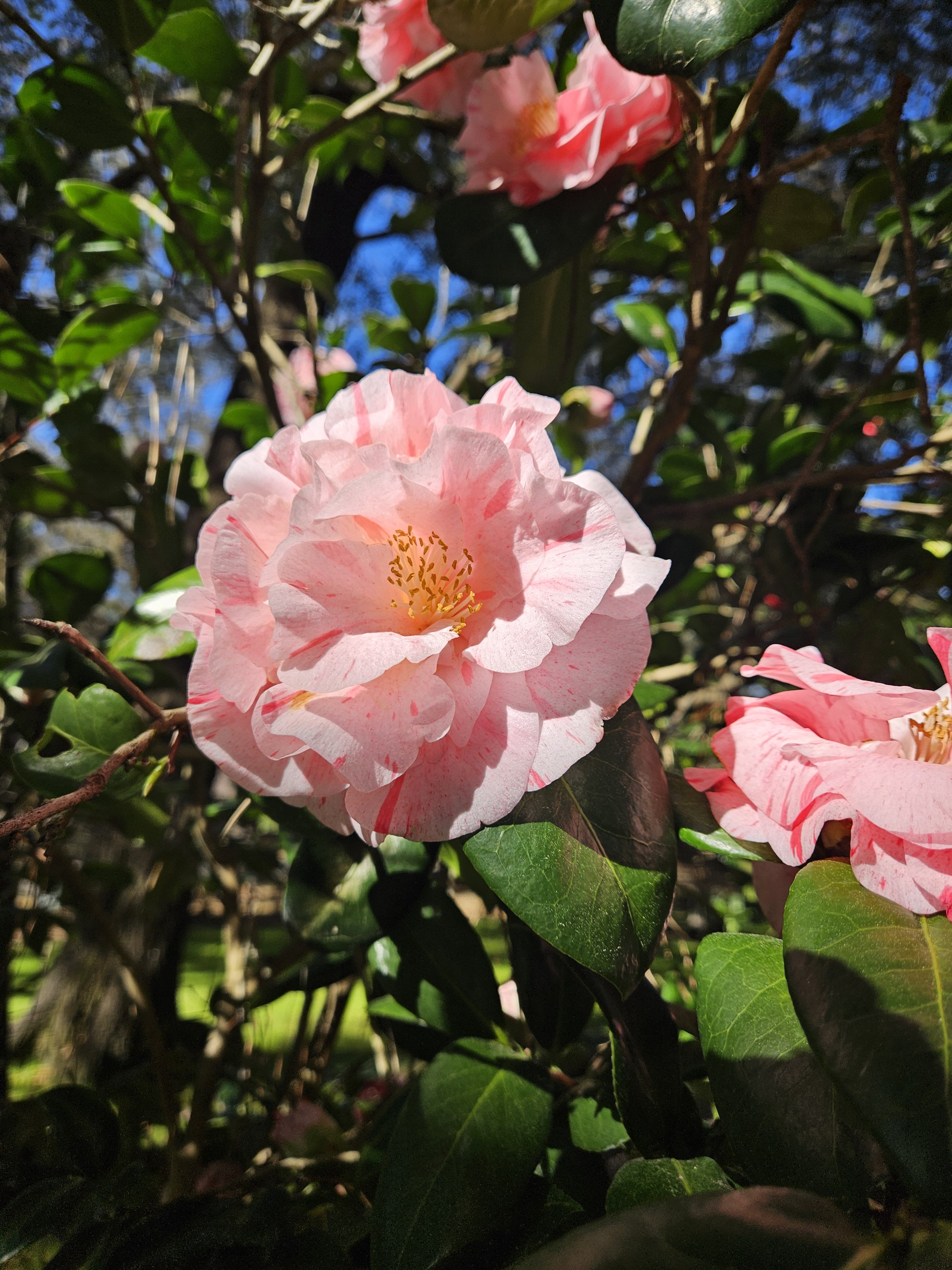 Patio and Grill (day 2 of 5 ~ spring cleaning checklist)
