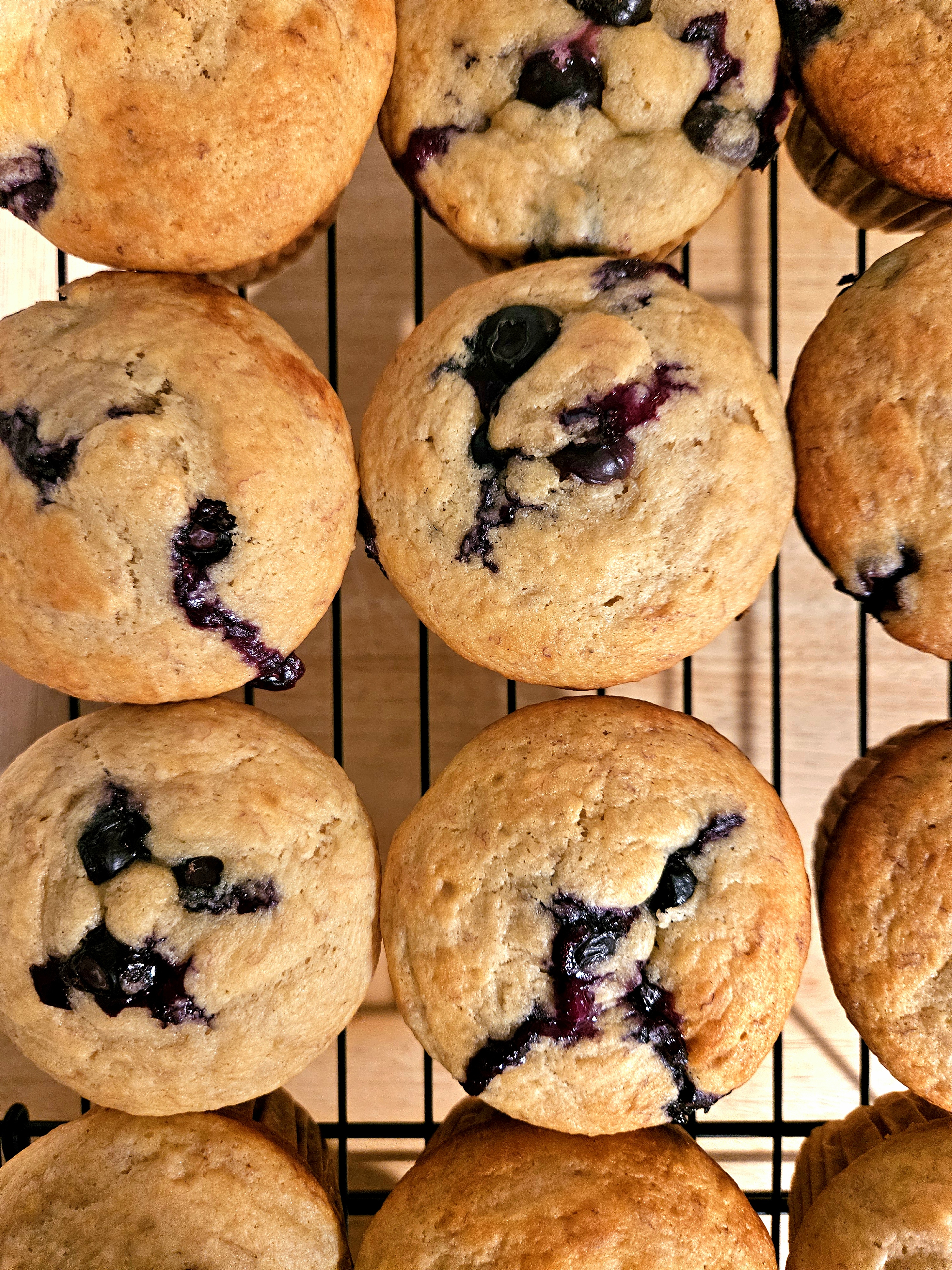 Blueberry Banana Sourdough Muffins