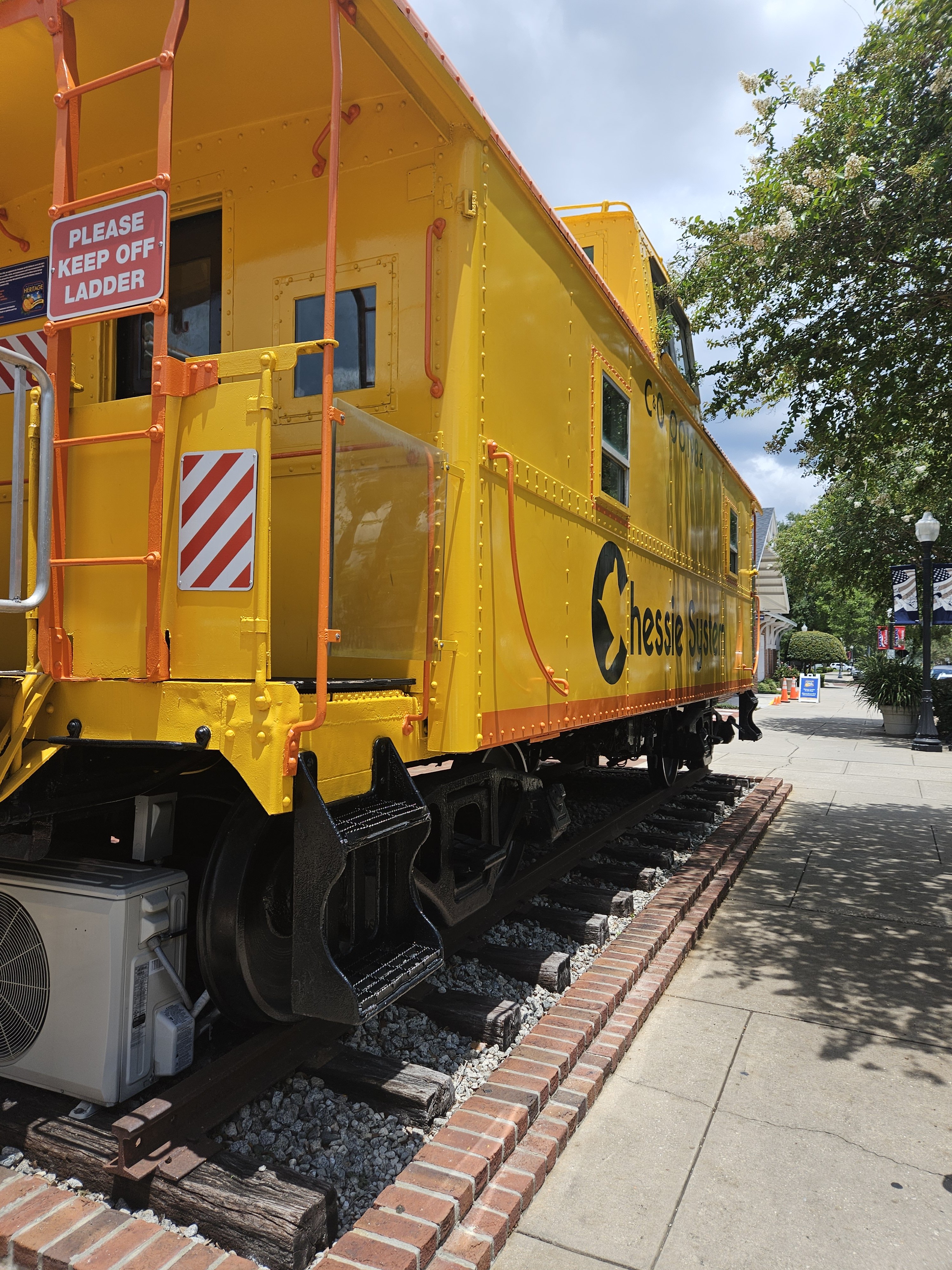 Summertime Picnics with Family